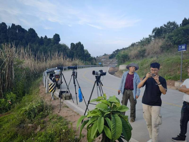 新沂市电商产品视频拍摄制作：如何打造高转化的电商视觉内容？